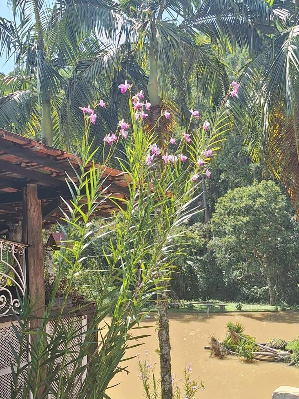 Chacara Ladeira De Pedra *